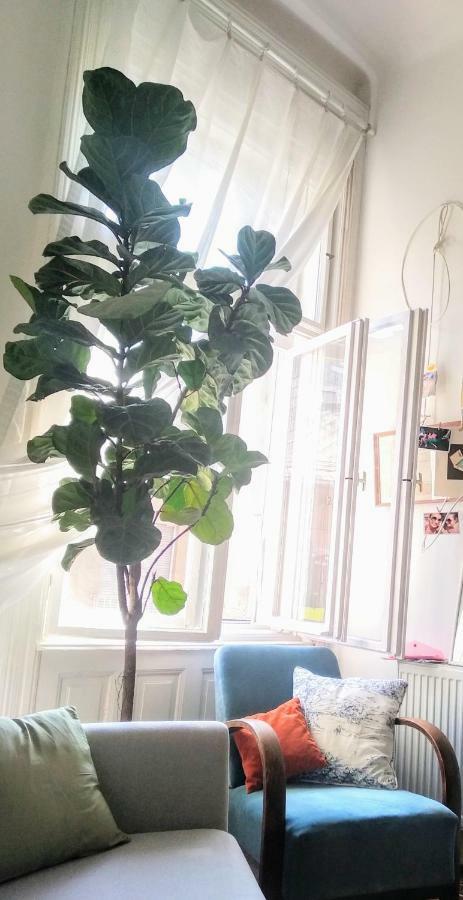 בודפשט Jolie Apartment In Historical Center מראה חיצוני תמונה